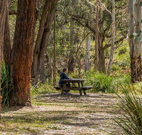 Koreelah Creek campground - Mackay Tourism
