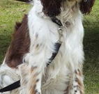 Merimbula Lake Holiday Park - Mackay Tourism