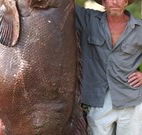Michael's Clarence Valley Retreat - Mackay Tourism