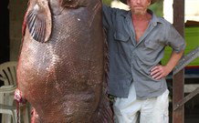 Michael's Clarence Valley Retreat - Mackay Tourism 0