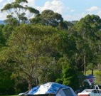 Milton Valley Holiday Park - Mackay Tourism