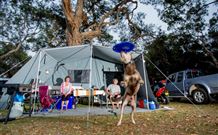 North Coast Holiday Parks North Haven - Mackay Tourism 6