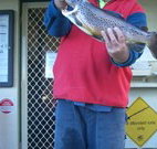 Rainbow Pines Tourist Caravan Park - Mackay Tourism