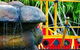 Smugglers' Cove Holiday Village - thumb 5