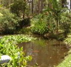 Tallowood Ridge B and B - Mackay Tourism