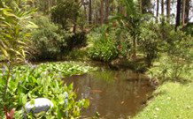 Tallowood Ridge B And B - Mackay Tourism 0