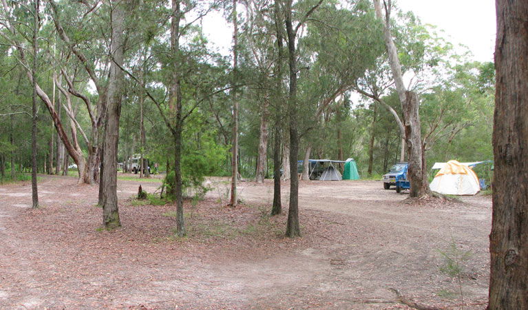 Wallis Lake NSW Mackay Tourism