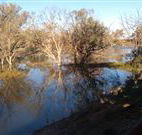 Warrawong on the Darling - Mackay Tourism