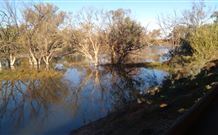 Warrawong On The Darling - Mackay Tourism 0