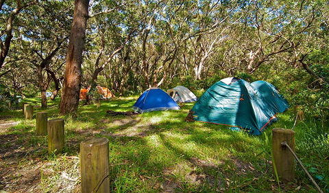 Yagon Campground - Mackay Tourism 2