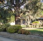 Hamilton Hume Motor Inn - Yass - Mackay Tourism