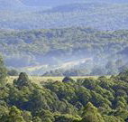 Nowendoc Country Motel - Nowendoc - Mackay Tourism