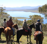 Reynella Homestead and Horseback Rides - Mackay Tourism