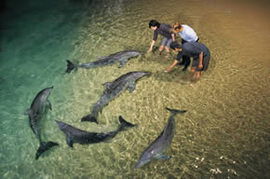 Moreton Island QLD Mackay Tourism