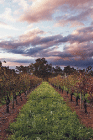Millendon WA Mackay Tourism