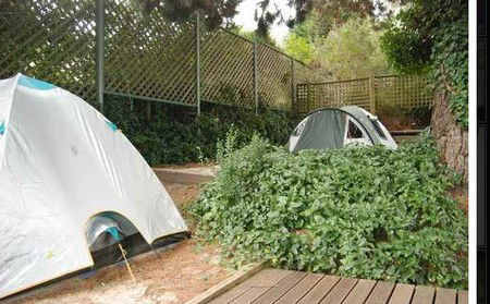 The Flying Fox Backpackers - Mackay Tourism 2