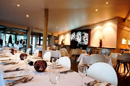 Cedar Creek Lodges - Mackay Tourism 1