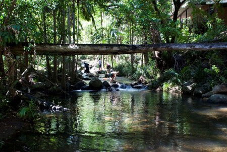 Cedar Creek Lodges - Mackay Tourism 5