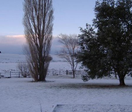 Snowy Mountains Motel - Mackay Tourism 1