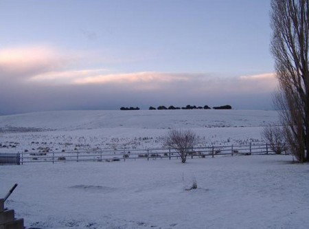 Snowy Mountains Motel - Mackay Tourism 3