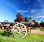 The Oaks Ranch and Country Club - Mossy Point - Mackay Tourism