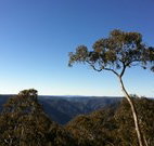 Coach Cottage - Mackay Tourism