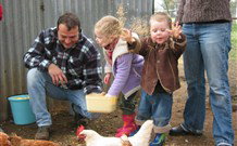 Linga Longa Farm Wingham - Mackay Tourism 0