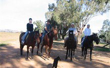 Linga Longa Farm Wingham - Mackay Tourism 1
