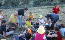 Linga Longa Farm Wingham - Mackay Tourism 3