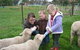 Linga Longa Farm Wingham - thumb 2