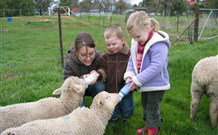 Linga Longa Farm Wingham - Mackay Tourism 2