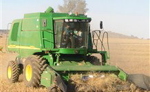 Linga Longa Farm Wingham - Mackay Tourism 4