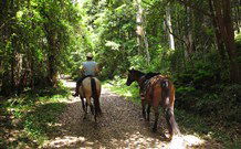 Malibells Country Cottages - Mackay Tourism 1