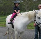 Mansfield Cottage Barrington Tops Accommodation - Mackay Tourism