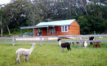 Moorallie Cottage Farm Stay - Mackay Tourism 0