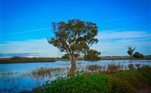 Morvern Valley Farm Stay Cottages - Mackay Tourism 4