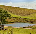 Sanctuary Hill Retreat - Mackay Tourism