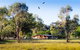 Starline Alpaca Farm Stay - thumb 2