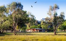Starline Alpaca Farm Stay - Mackay Tourism 2