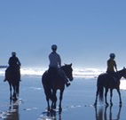 Whispering Brook - Mackay Tourism