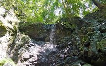 Cougal Park Bed And Breakfast - Mackay Tourism 3