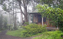 Berambing NSW Mackay Tourism