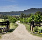 Pemberley Grange Hunter Valley Getaway - Mackay Tourism