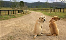 Pemberley Grange Hunter Valley Getaway - Mackay Tourism 1
