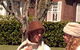 Petersons Guesthouse - thumb 1