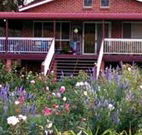 Rose Patch Bed and Breakfast - Mackay Tourism