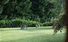 Yallambee Bed And Breakfast - Mackay Tourism 4