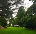 Brigalow Cottage - Mackay Tourism