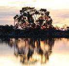 Myuna Bay Sport and Recreation Centre - Mackay Tourism