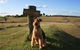 Pebble Bay Cottage - thumb 7